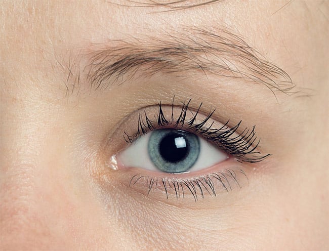 eyebrow